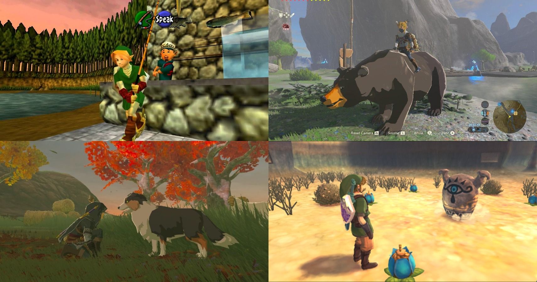 Things Players Didn't Know They Could Do In The Legend Of Zelda