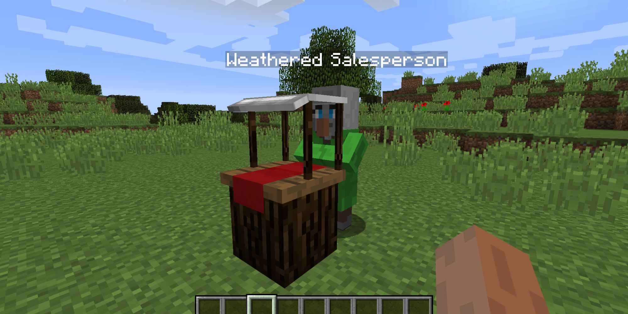 A first-person view of a modded npc, the Weathered Salesperson, standing near a wood stand with red cloth.