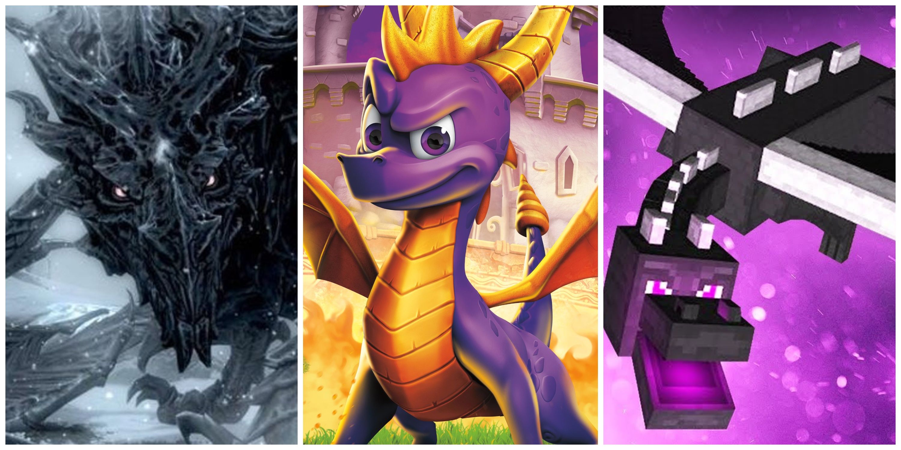 alduin from skyrim, spyro from spyro, ender dragon from minecraft