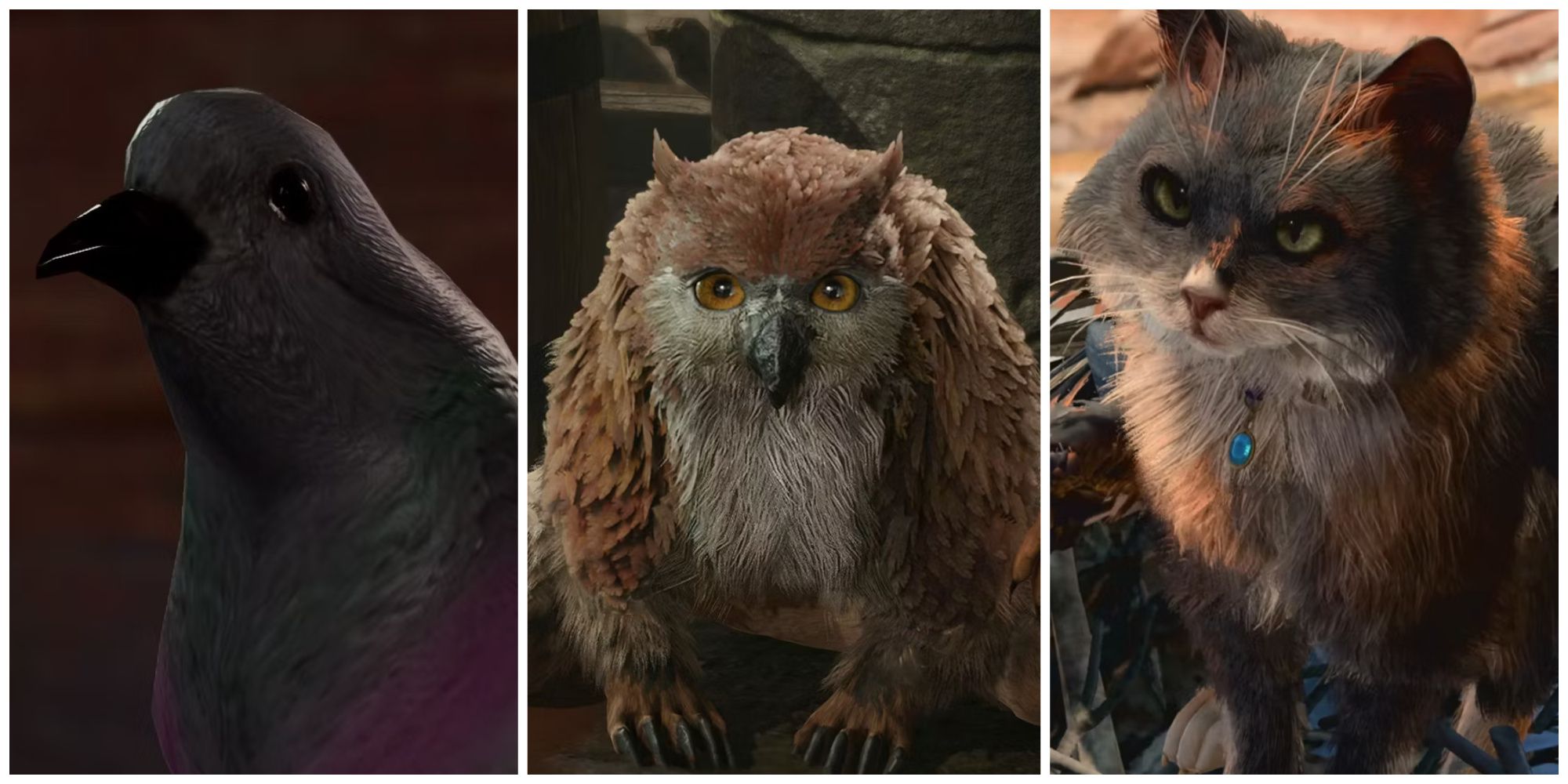 Baldur's Gate 3, Courier Pigeon, Owlbear Cub, Tara The Tressym