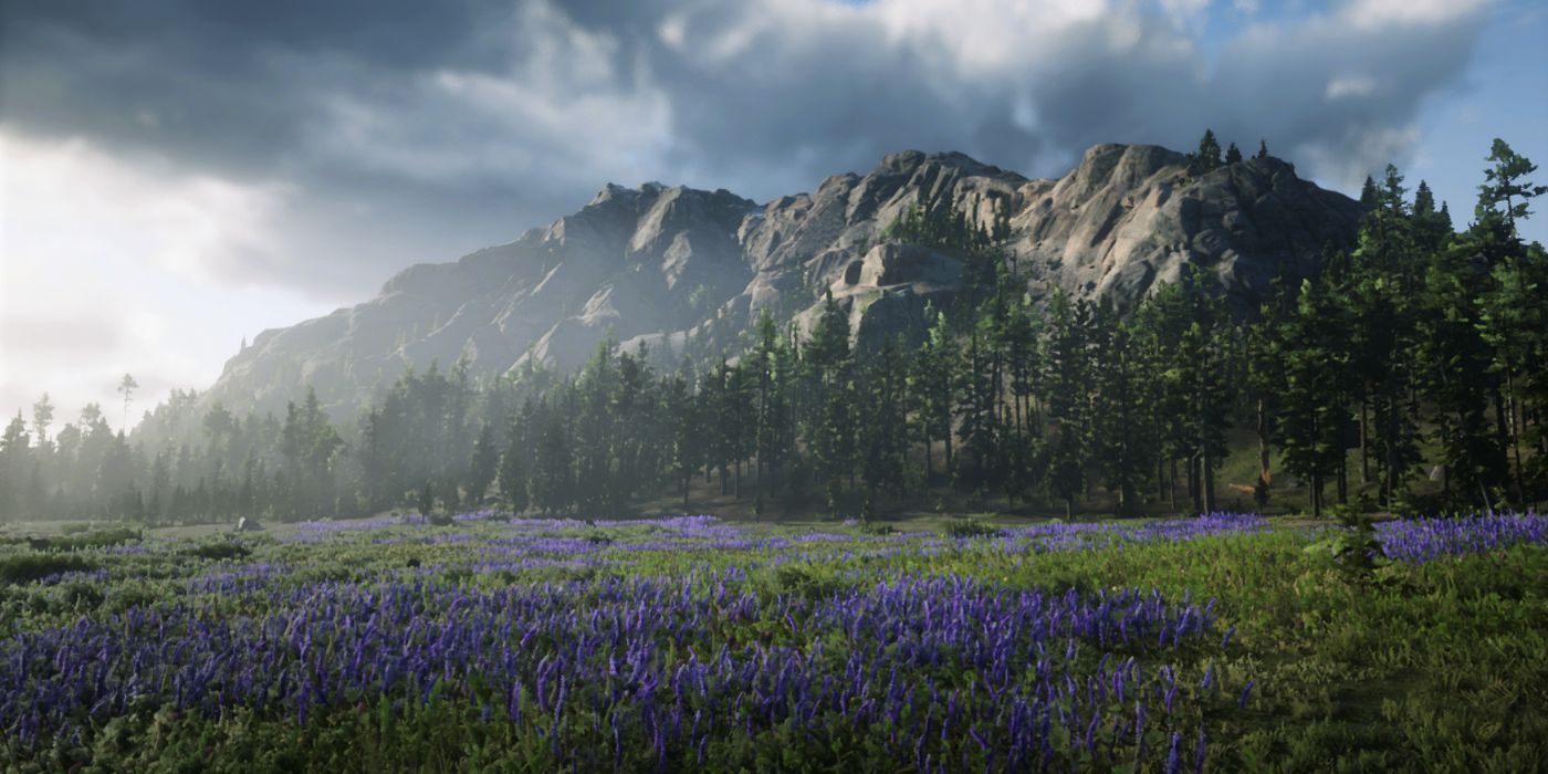 Red Dead Redemption 2 Mount Shann From Afar