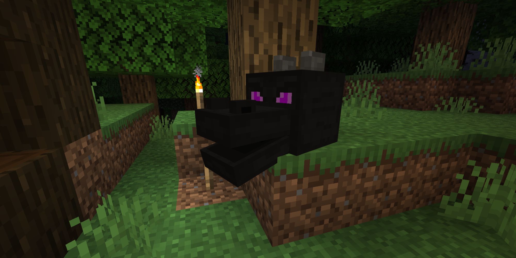 An Ender Dragon head perched on dirt in the overworld. 