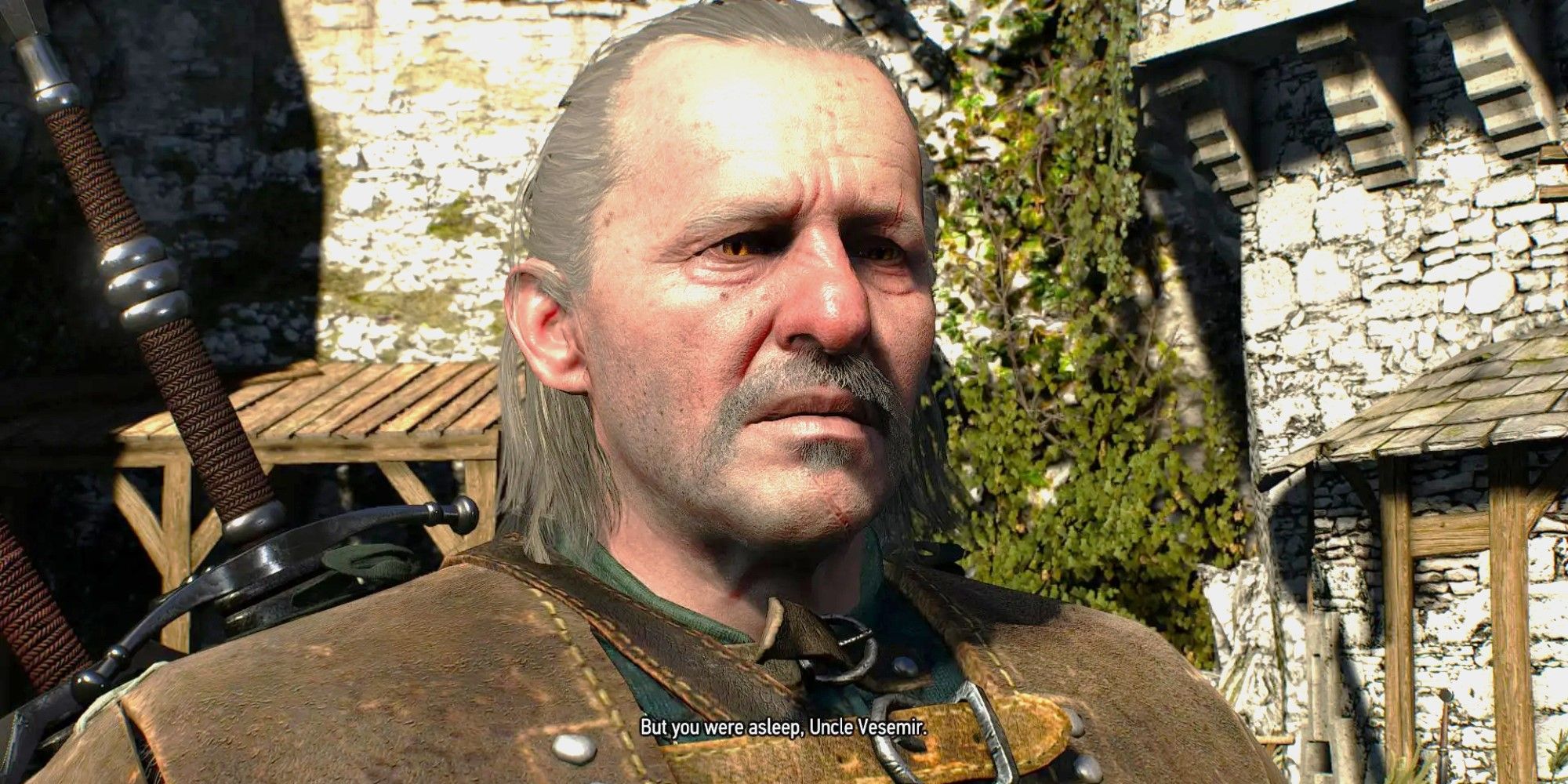 Witcher 3 Vesemir