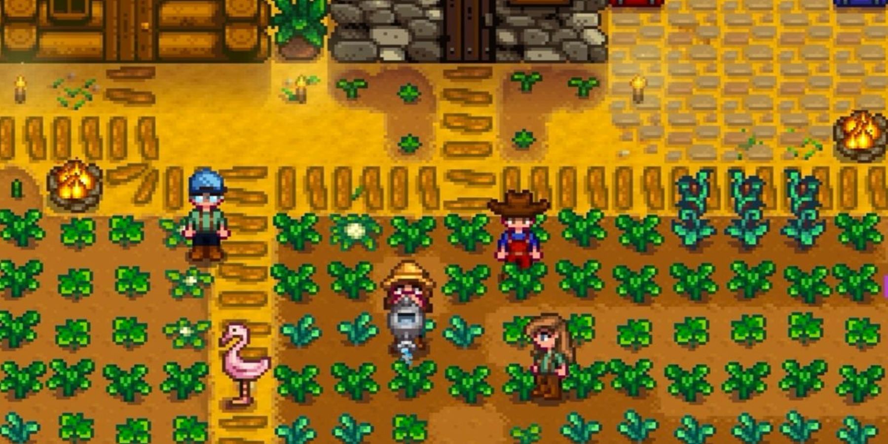 Multiple farmers on a farm in Stardew Valley