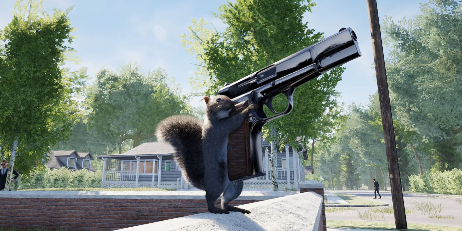 Squirrel With A Gun