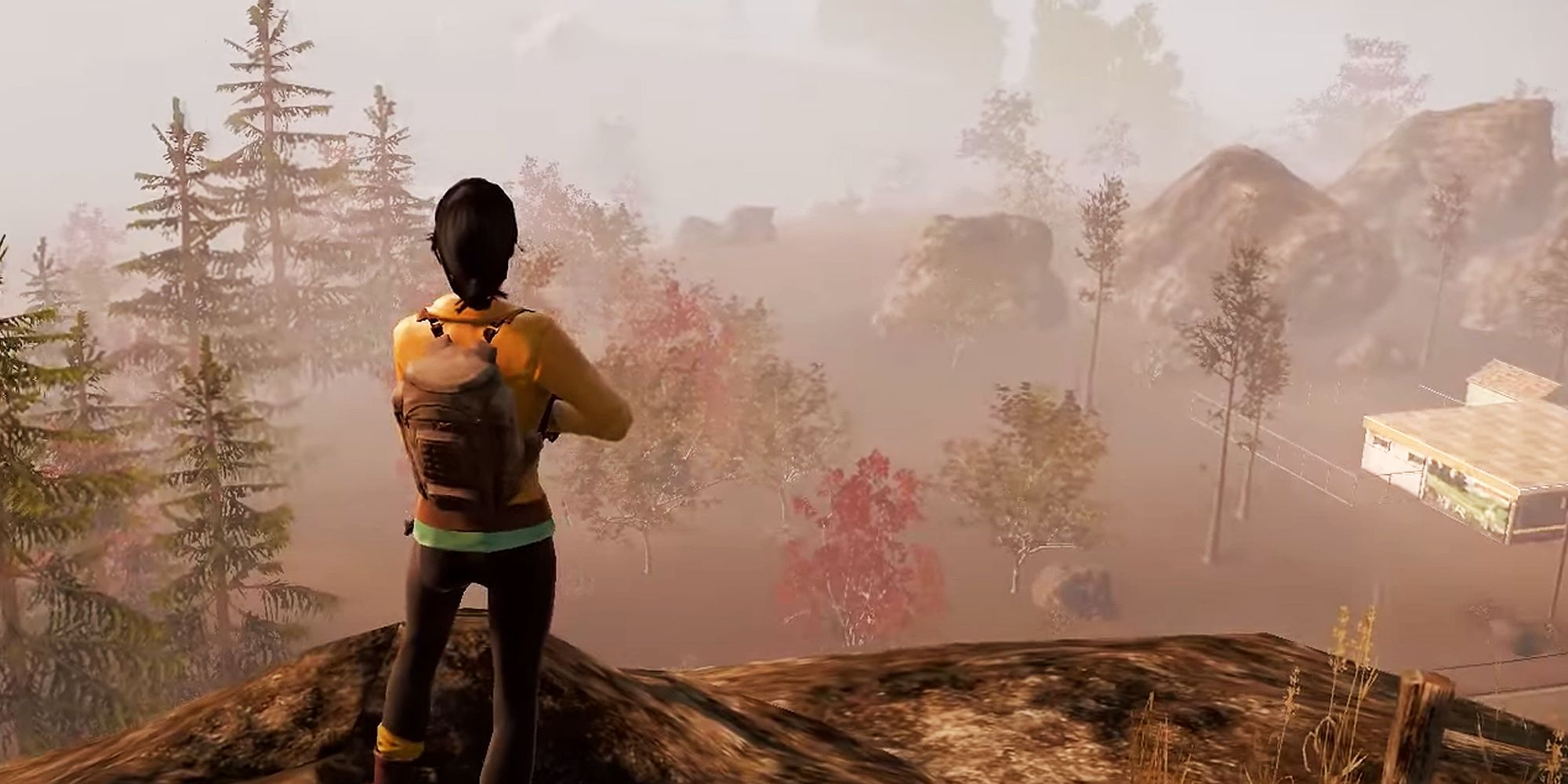 State of Decay screenshot of character looking down at some trees.