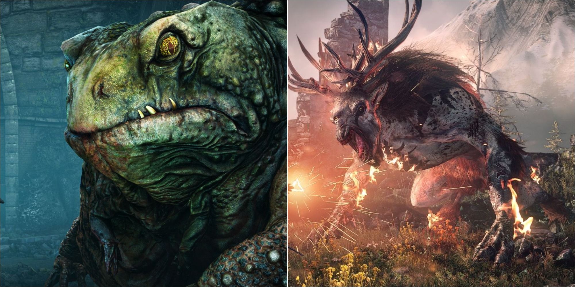 Witcher 3 Powerful Monster Featured Split Image Toad Prince and Fiend