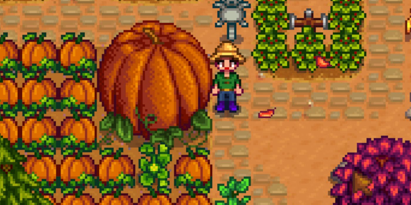 Best fall seeds and plants in Stardew Valley