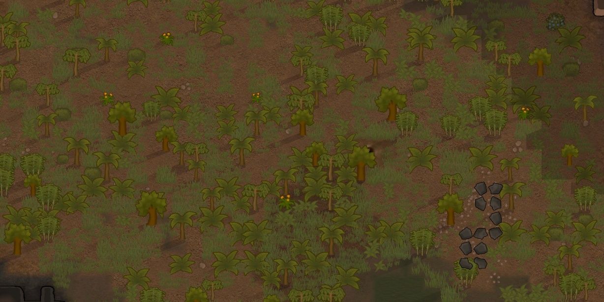 Rimworld Fertile Starting Area