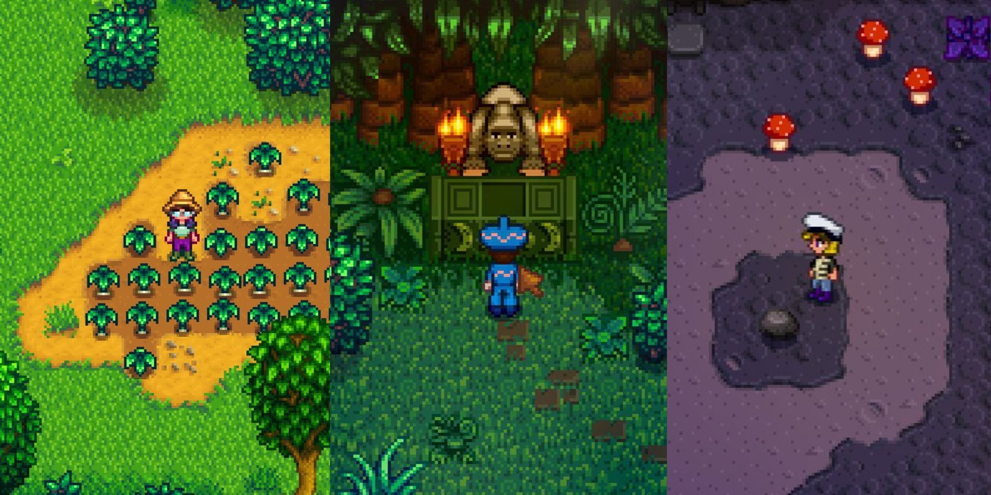 A Stardew Valley character with spring onions, in Ginger island, and in the mines