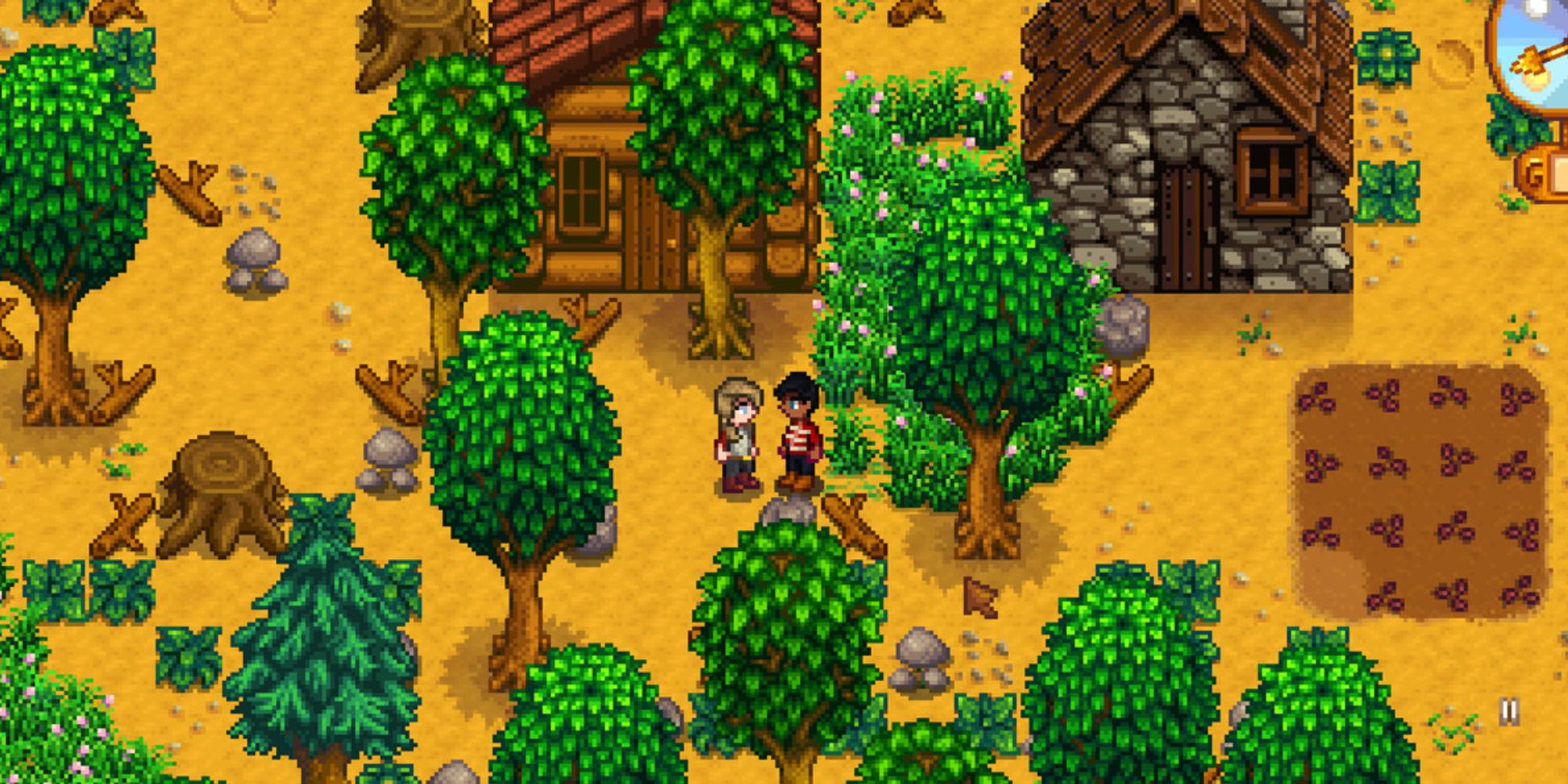 Two players in Stardew Valley looking at each other in a forest.