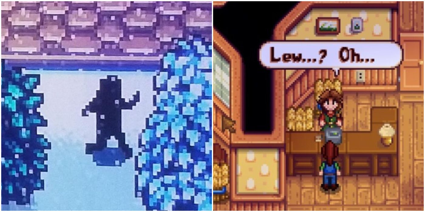 Stardew Valley Rarest Events Feature