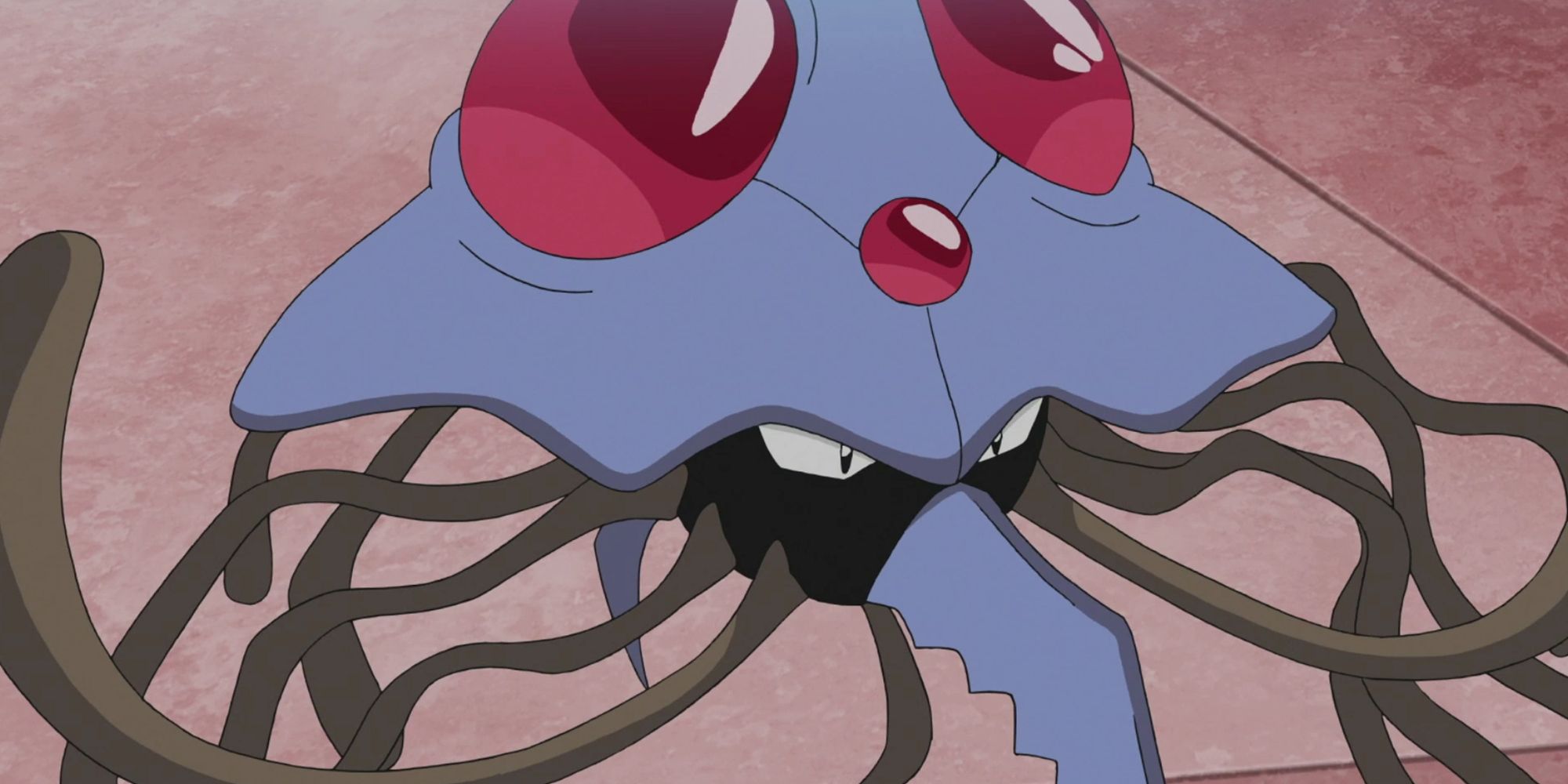 Tentacruel In The Pokemon Anime