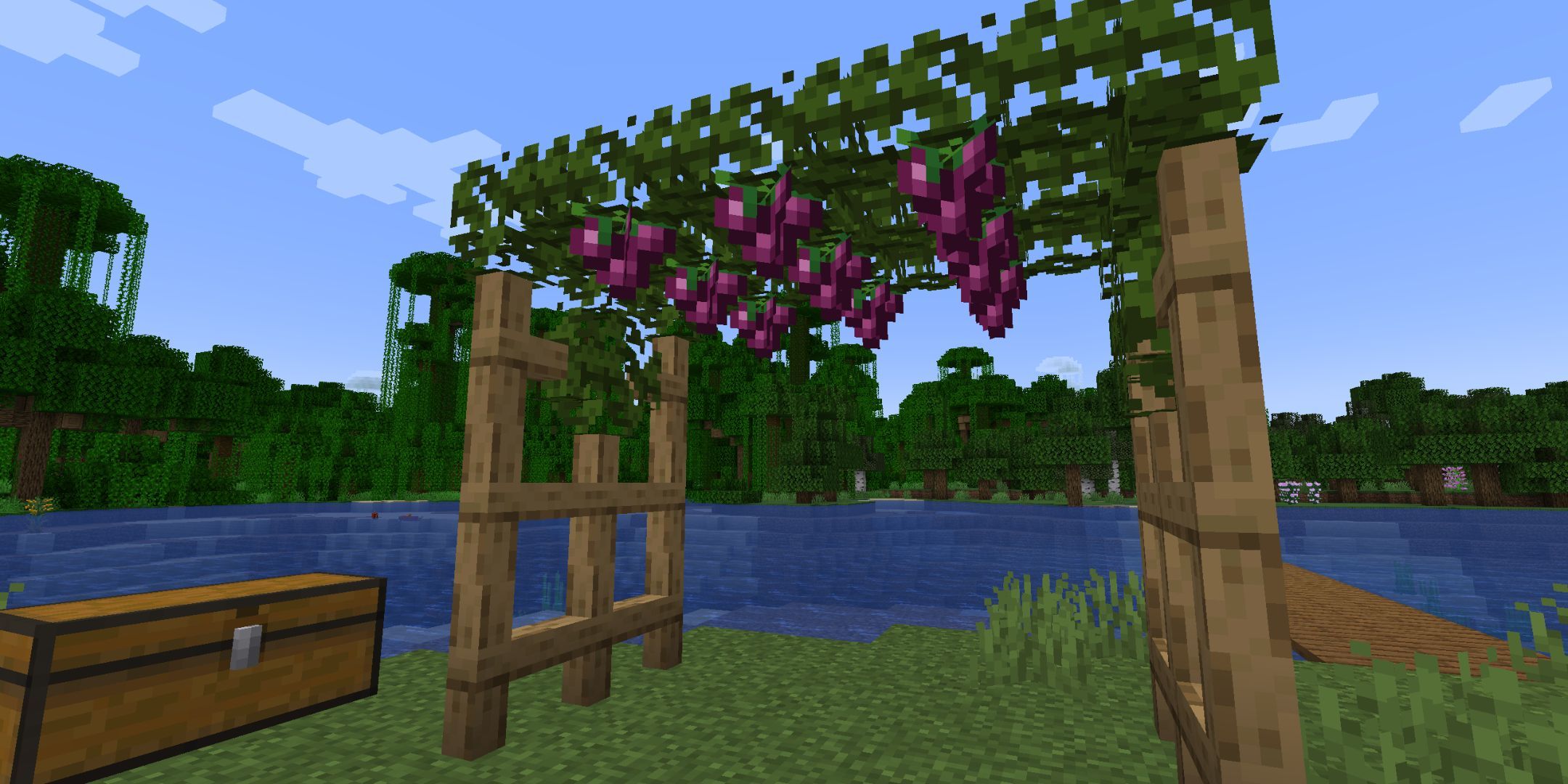 Rows of purple grapes growing on vines suspended in the air between wooden posts.