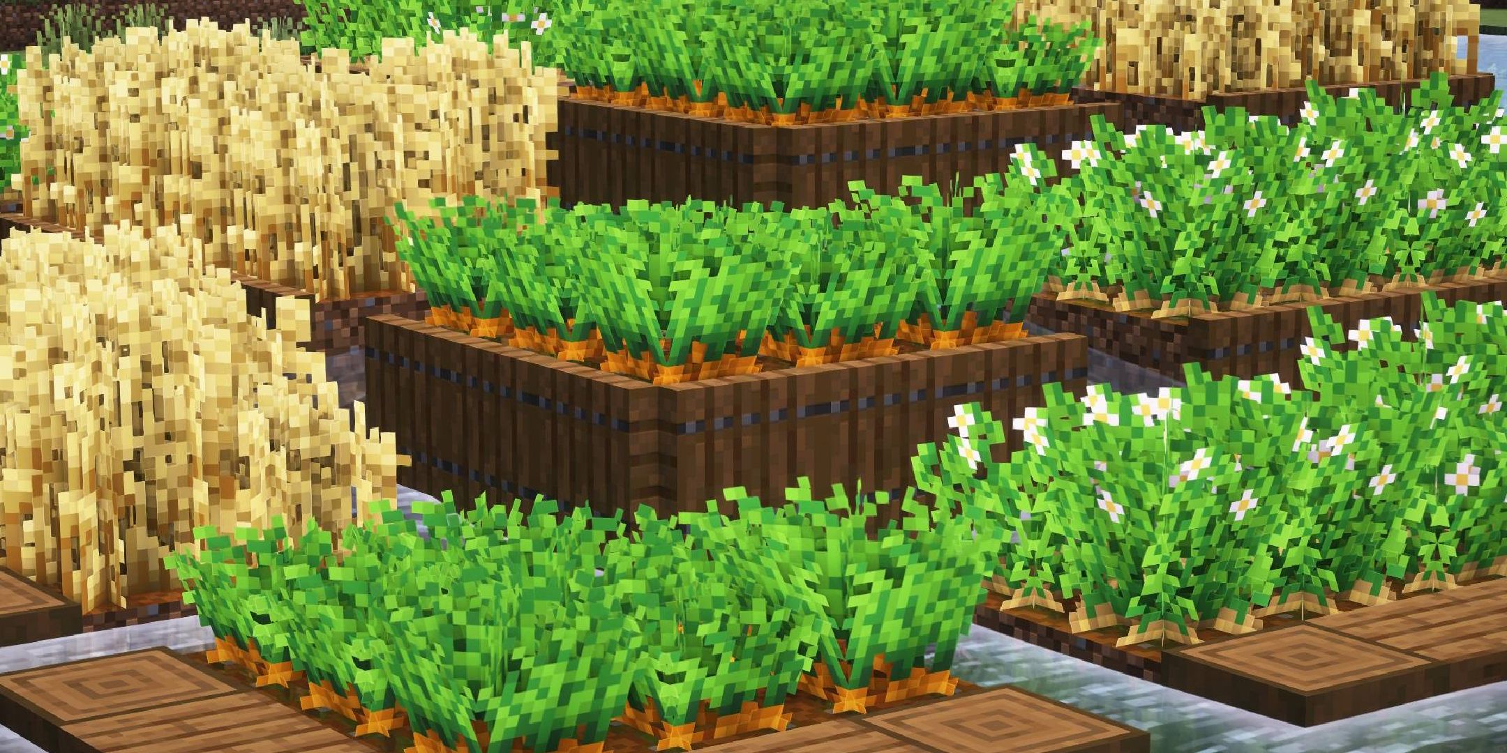 An image from the Fancy Crops mod showing growing wheat, carrots, and potatoes.