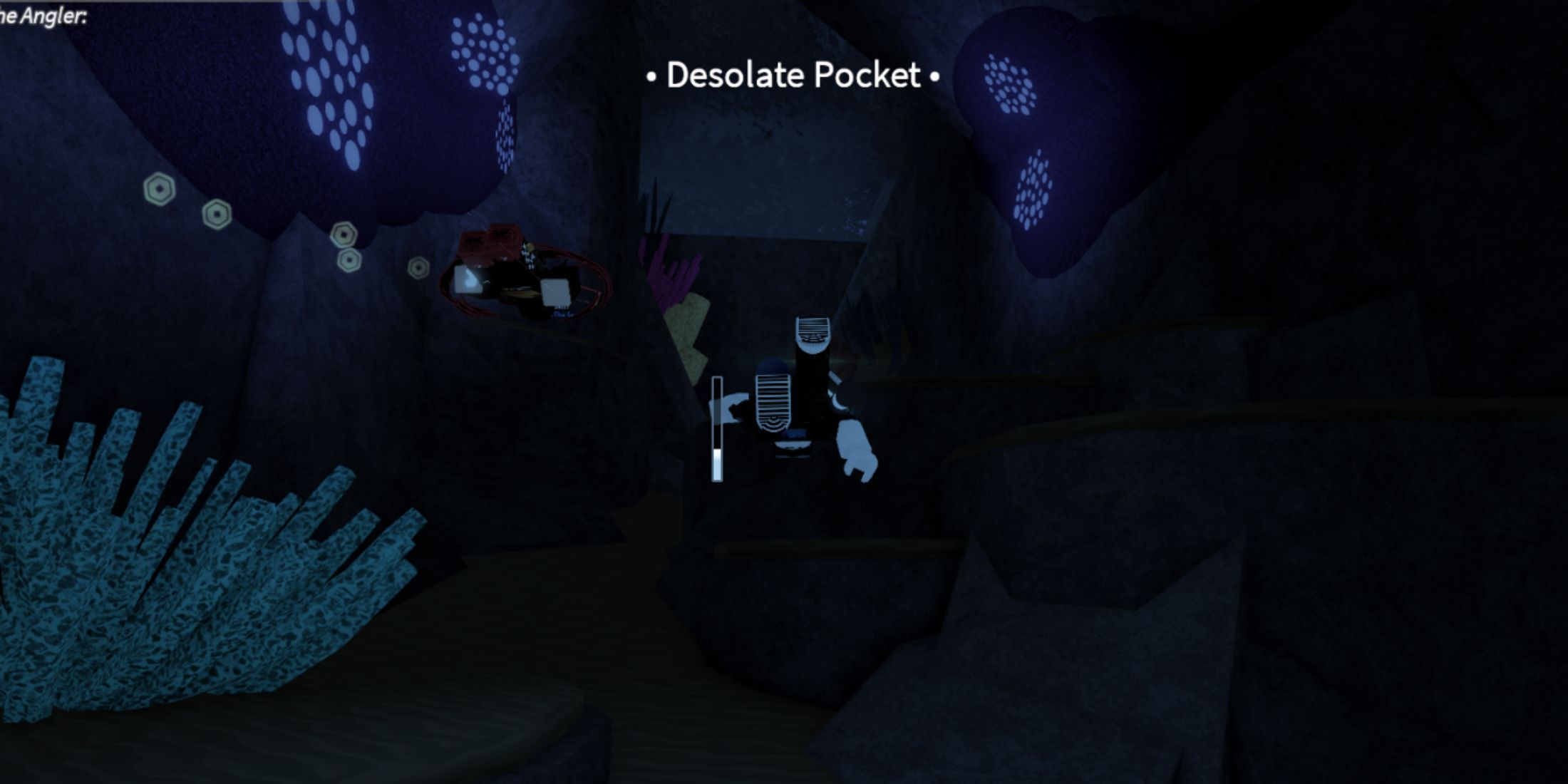 Fisch Desolate Pocket