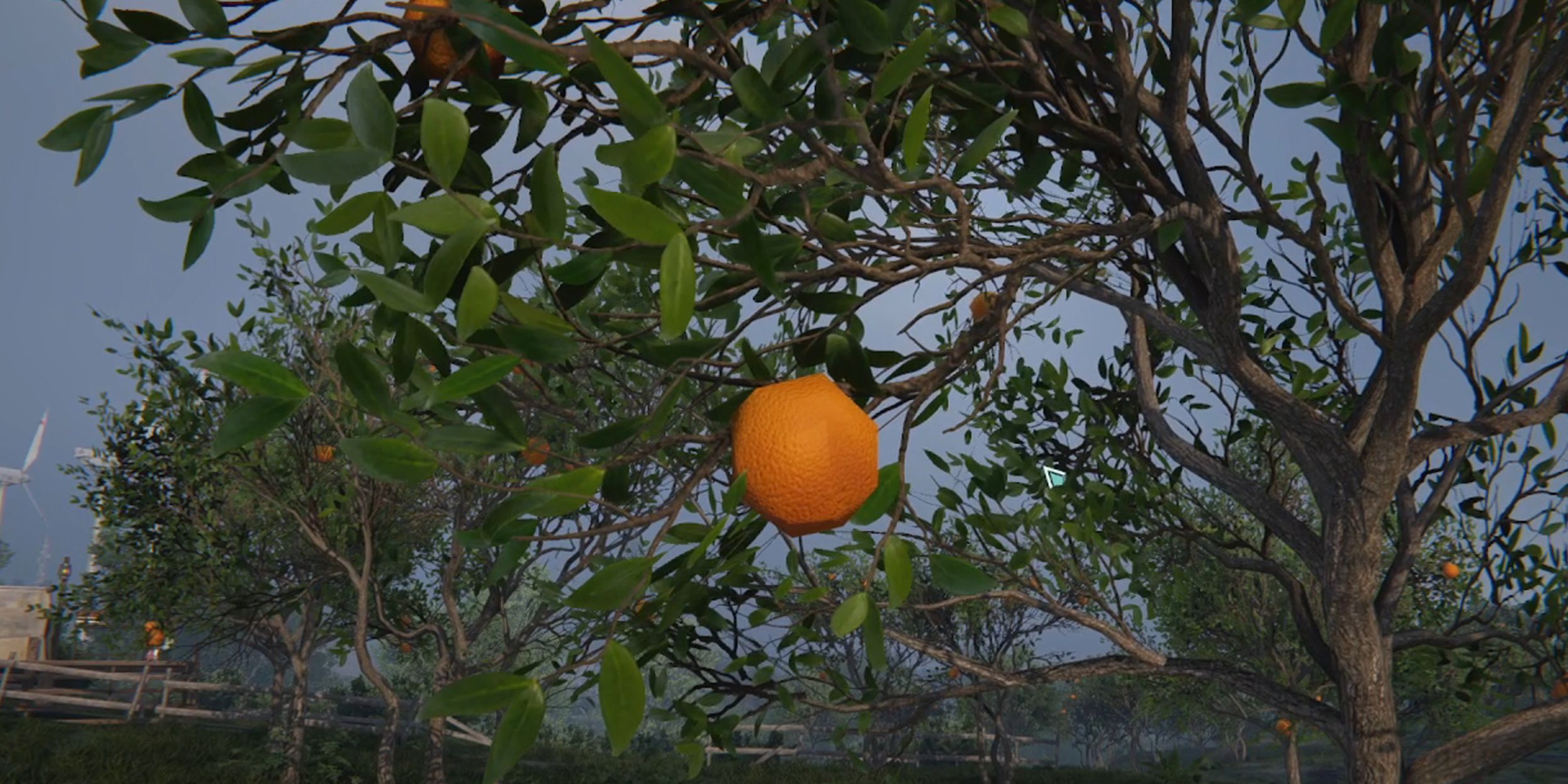 An orange dangling from an orange tree in Once Human.