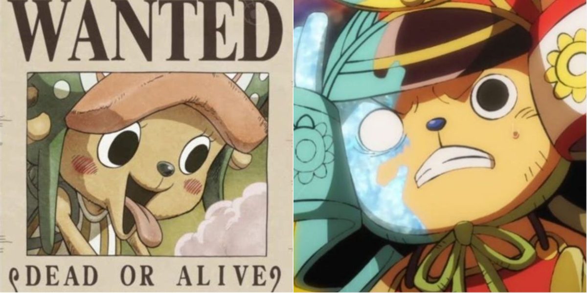 Why Chopper’s Bounty Is Low