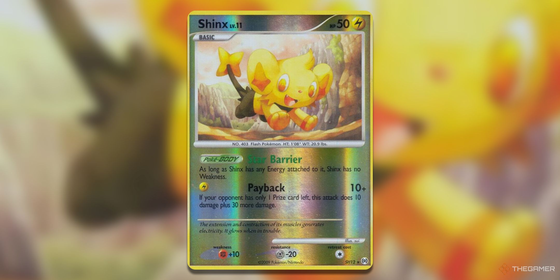 Arceus set Shiny Shinx Pokemon TCG Card Art.