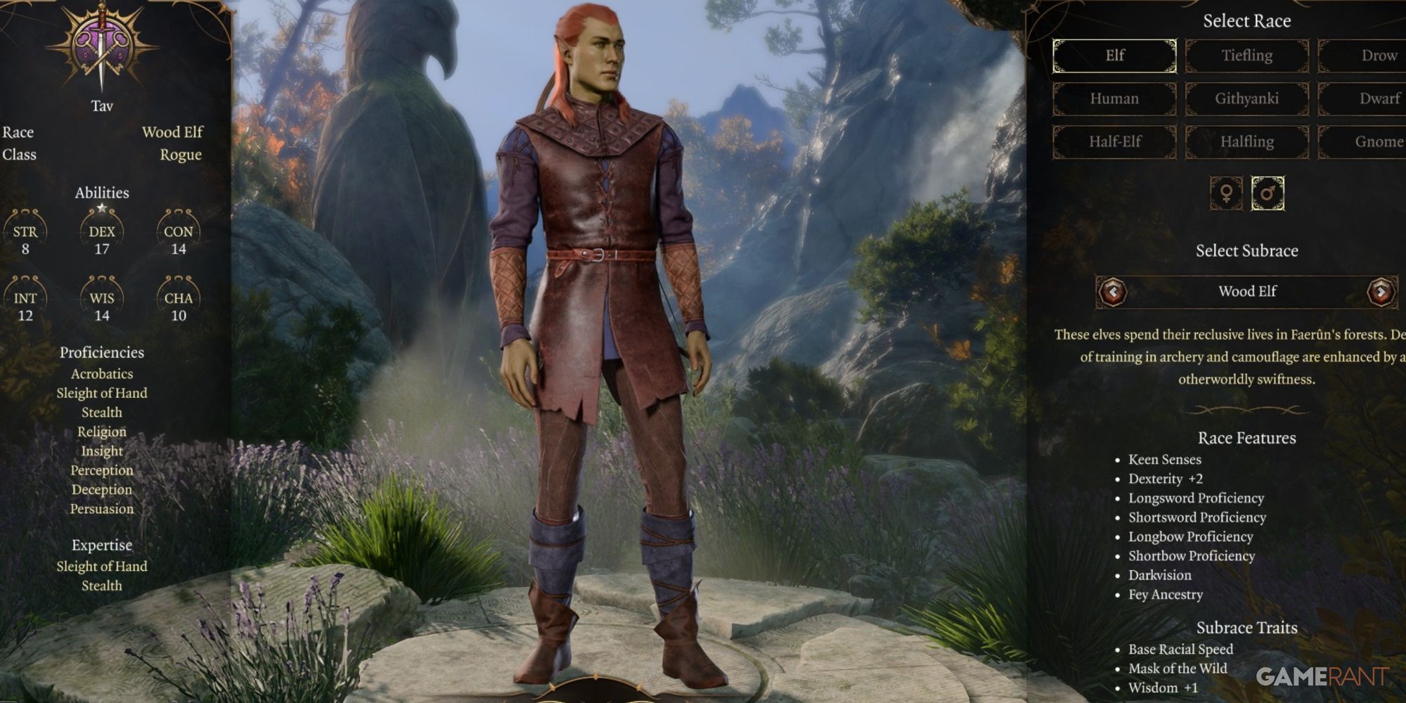 Baldur's Gate 3 Rogue As Wood Elf In Character Creation