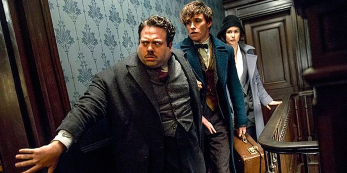 Fantastic Beasts Franchise Receives Disappointing Update