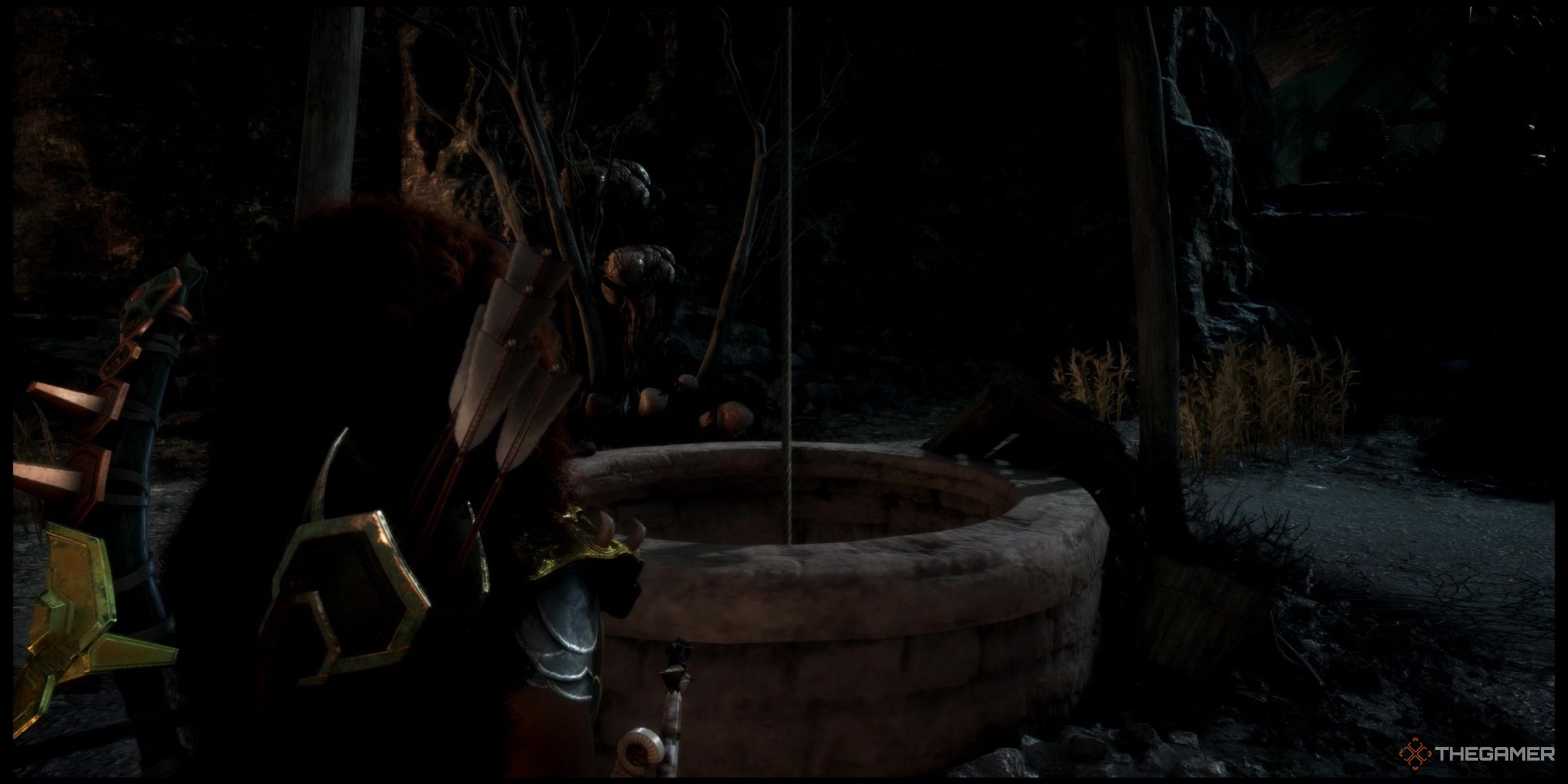 Rook looks at the Well during Only An Echo in Dragon Age: The Veilguard.