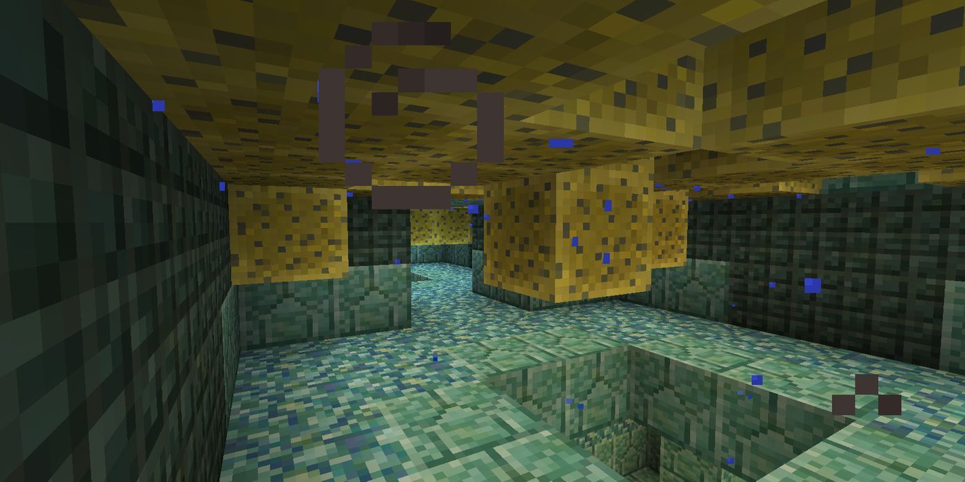 A player looking at Minecraft sponges. 