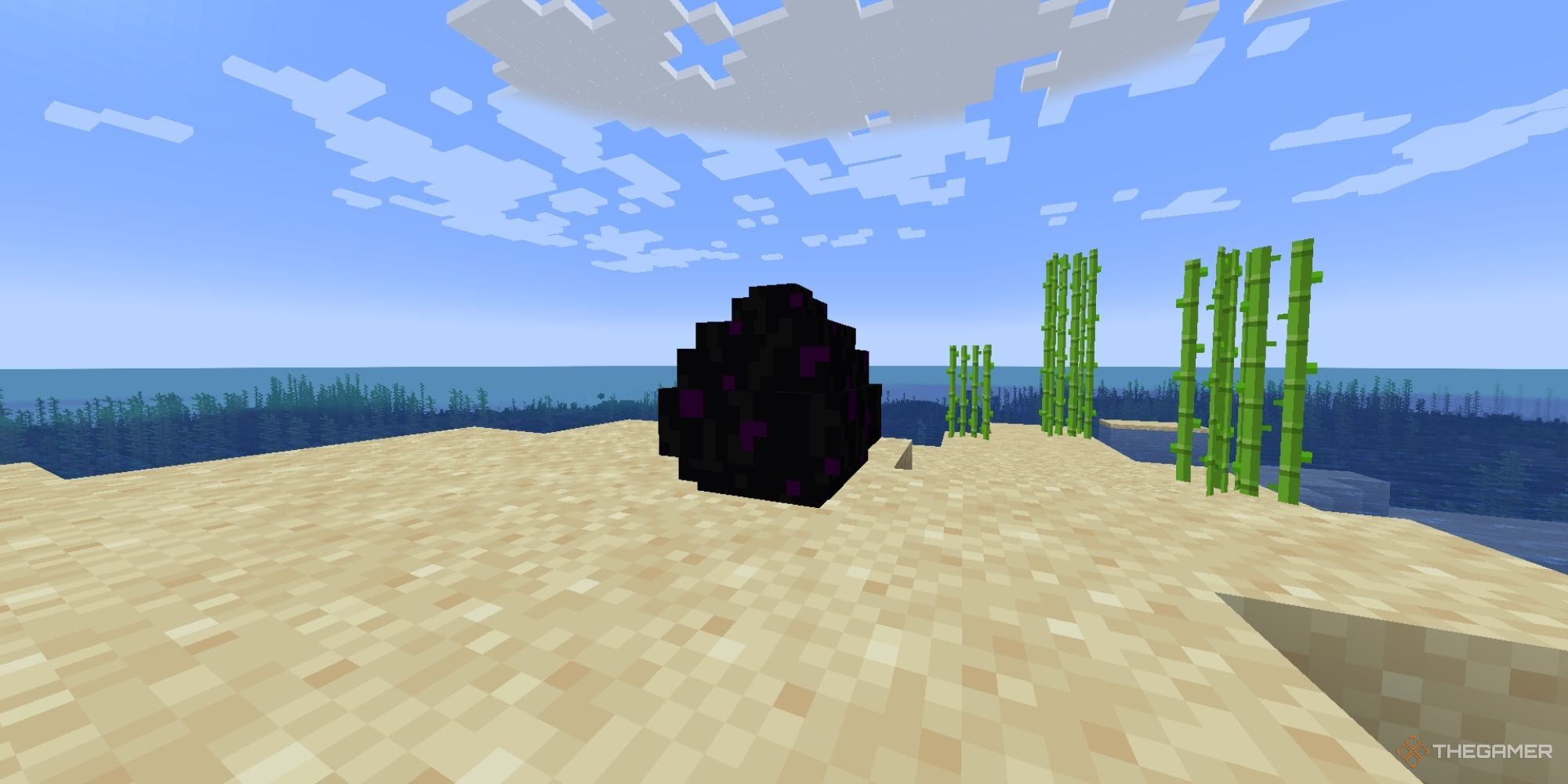 A mostly black Dragon Egg with dark purple spots sitting on a beach with green sugar cane seen nearby.