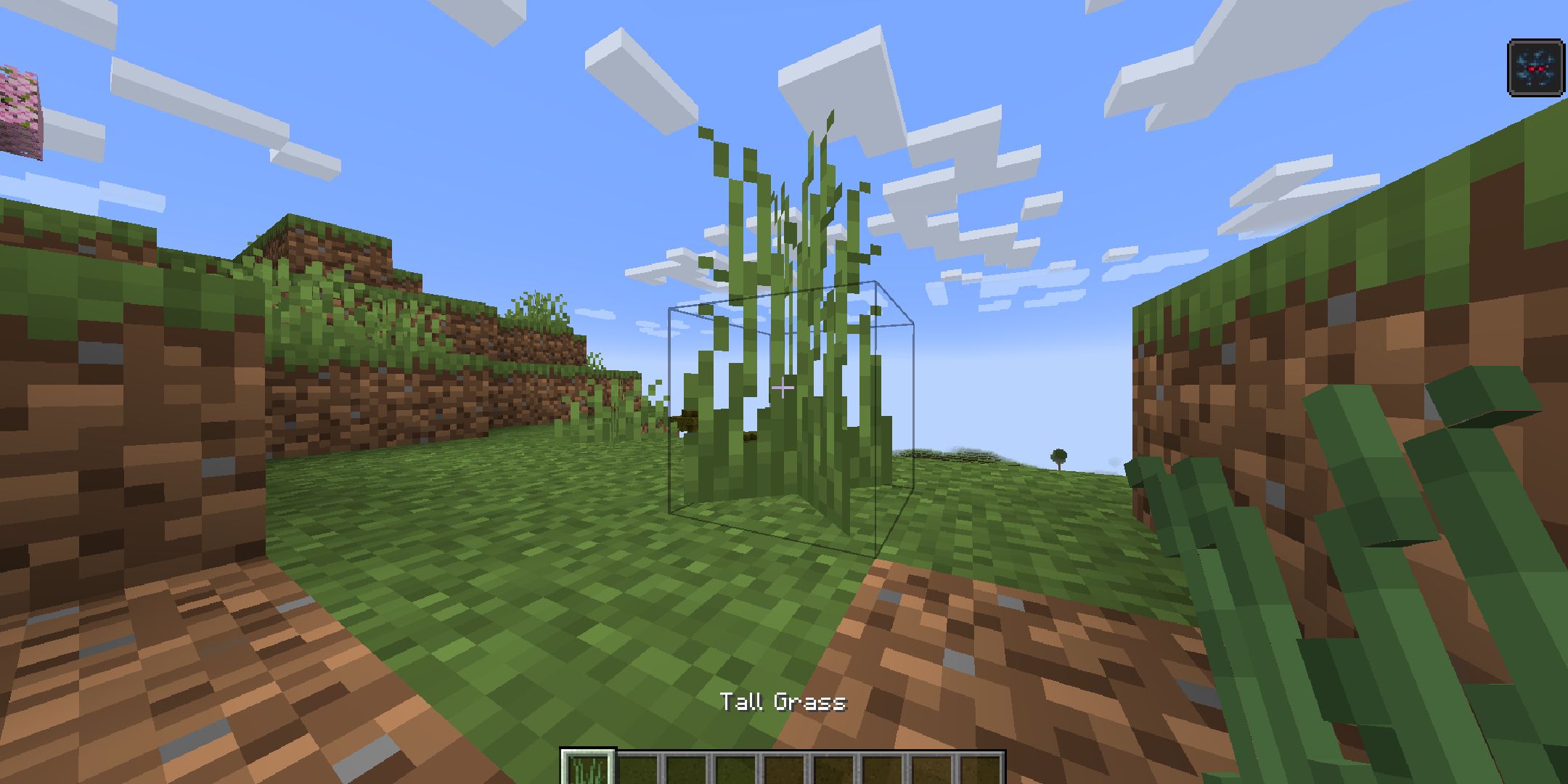 A Minecraft player looking at tall grass.