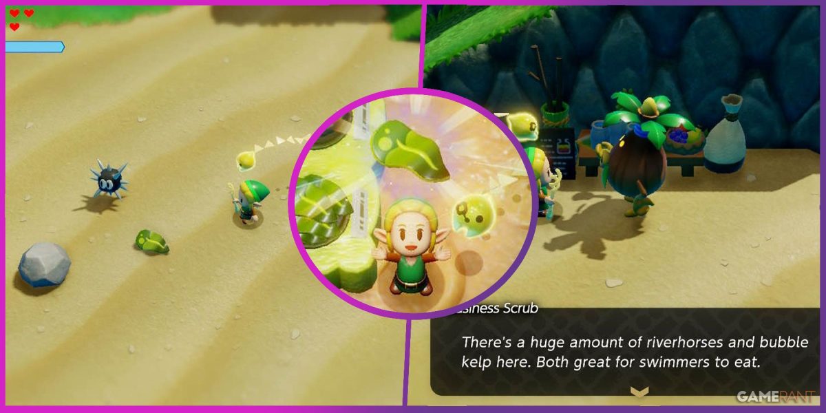 Out of Bubble Kelp Guide in Zelda: Echoes of Wisdom