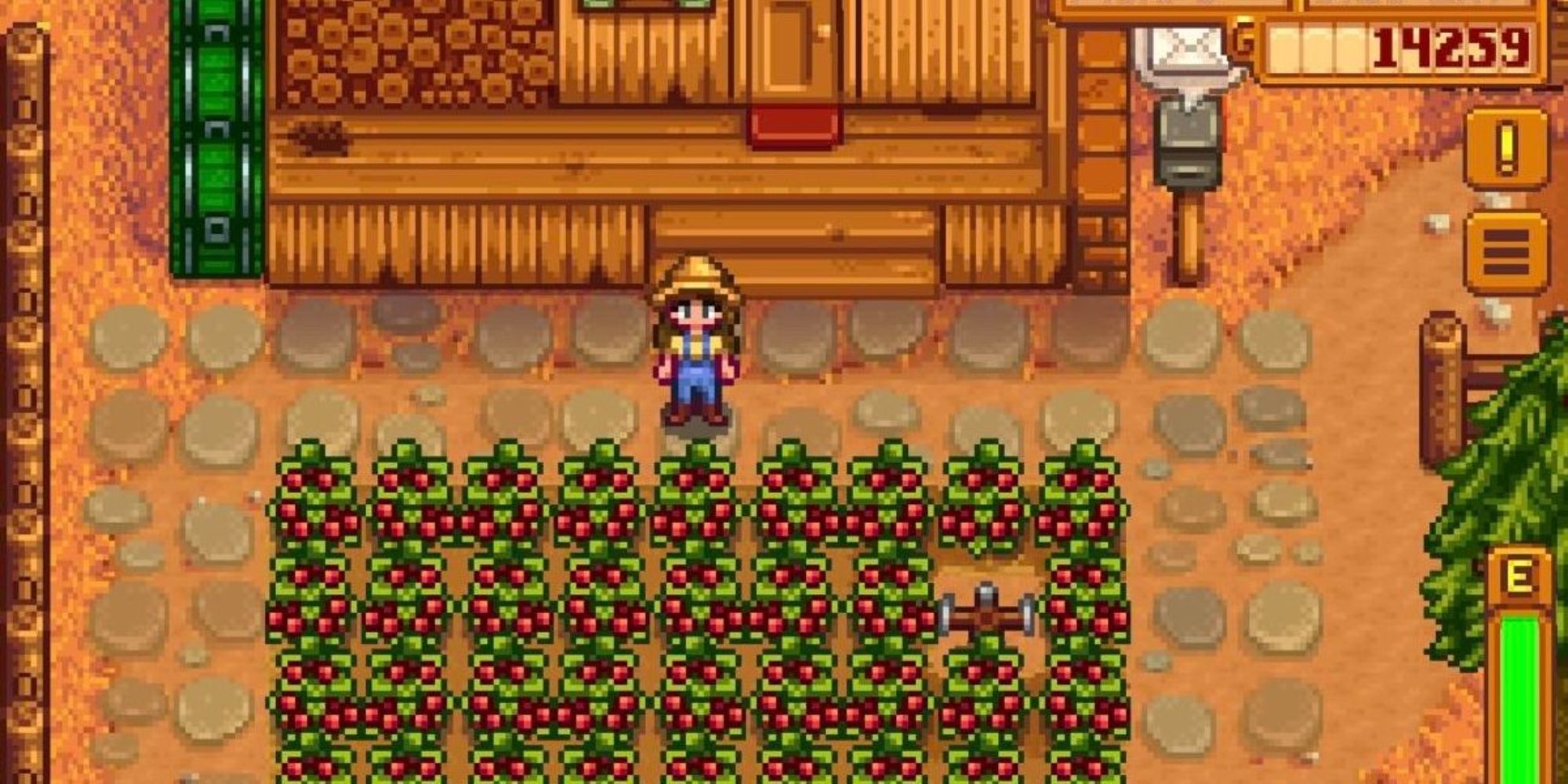 Stardew Valley In Fall Season