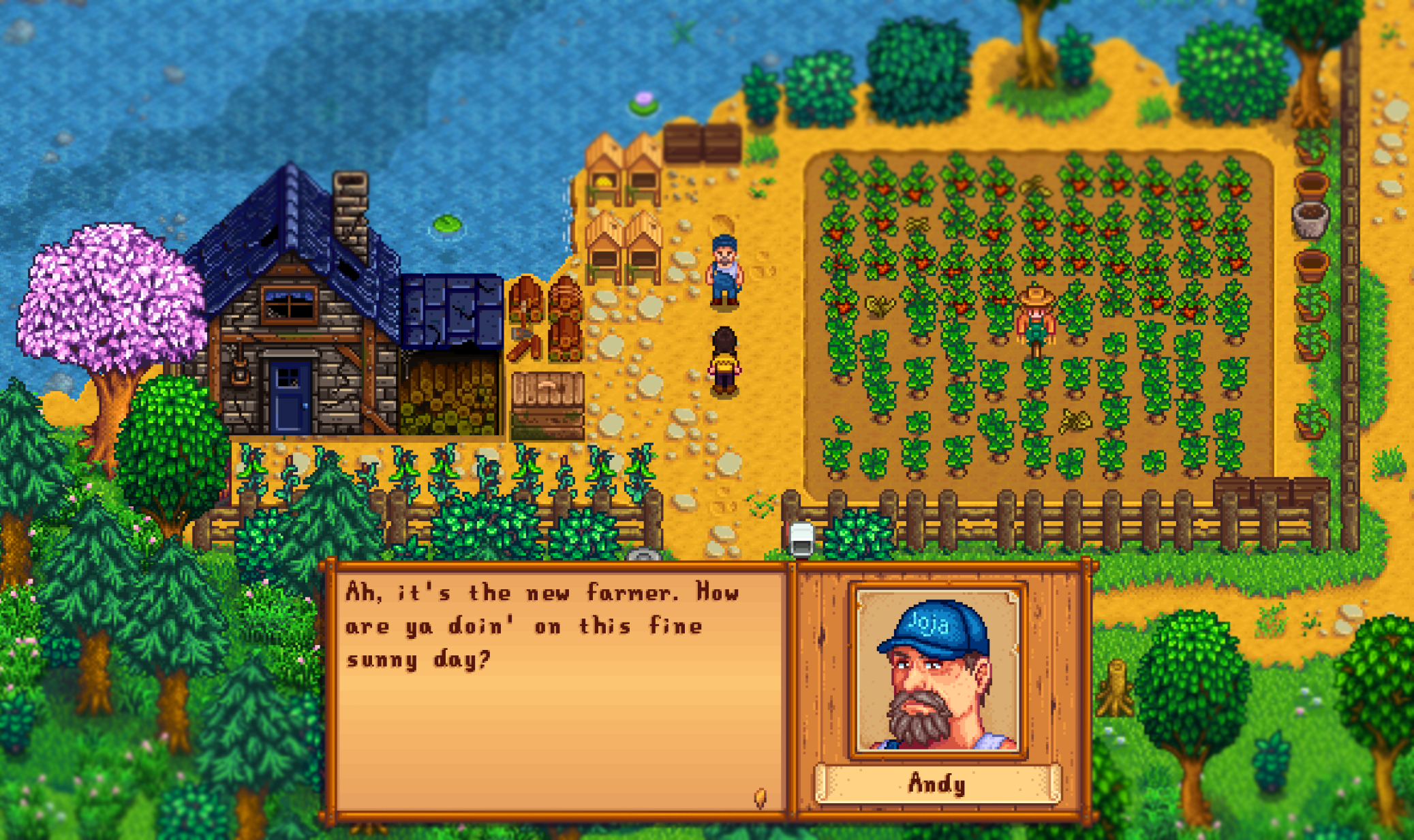 Gameplay using the Stardew Valley expanded mod, showing a player talk to Andy. 