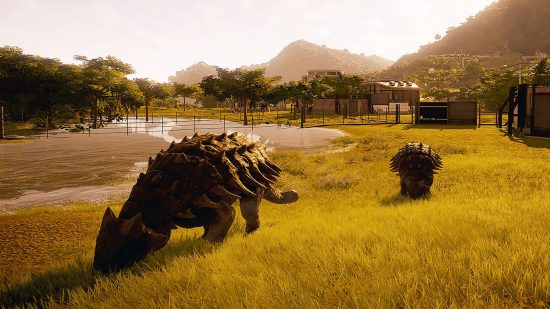 Best management games: two dinosaurs peacefully grazing in a field during the sunset in Jurassic World Evolution.