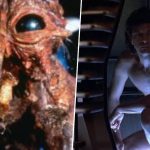 38 years after the original, David Cronenberg's body horror classic The Fly is getting a surprise follow-up, and it's not a remake