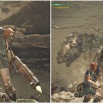 Features That Could Be Added To Monster Hunter Wilds