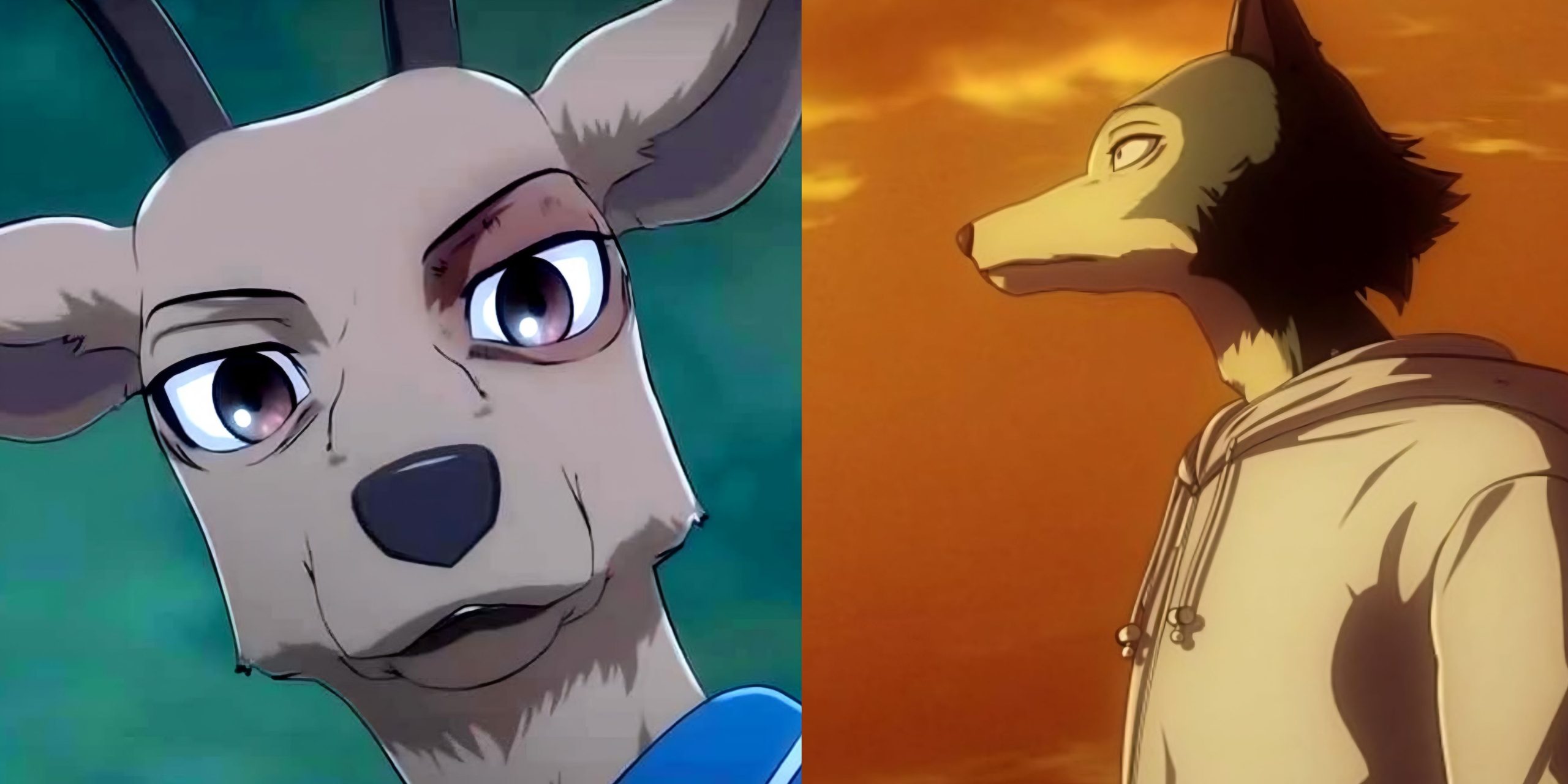 Beastars Anime Final Season Part 1 Release Date Confirmed