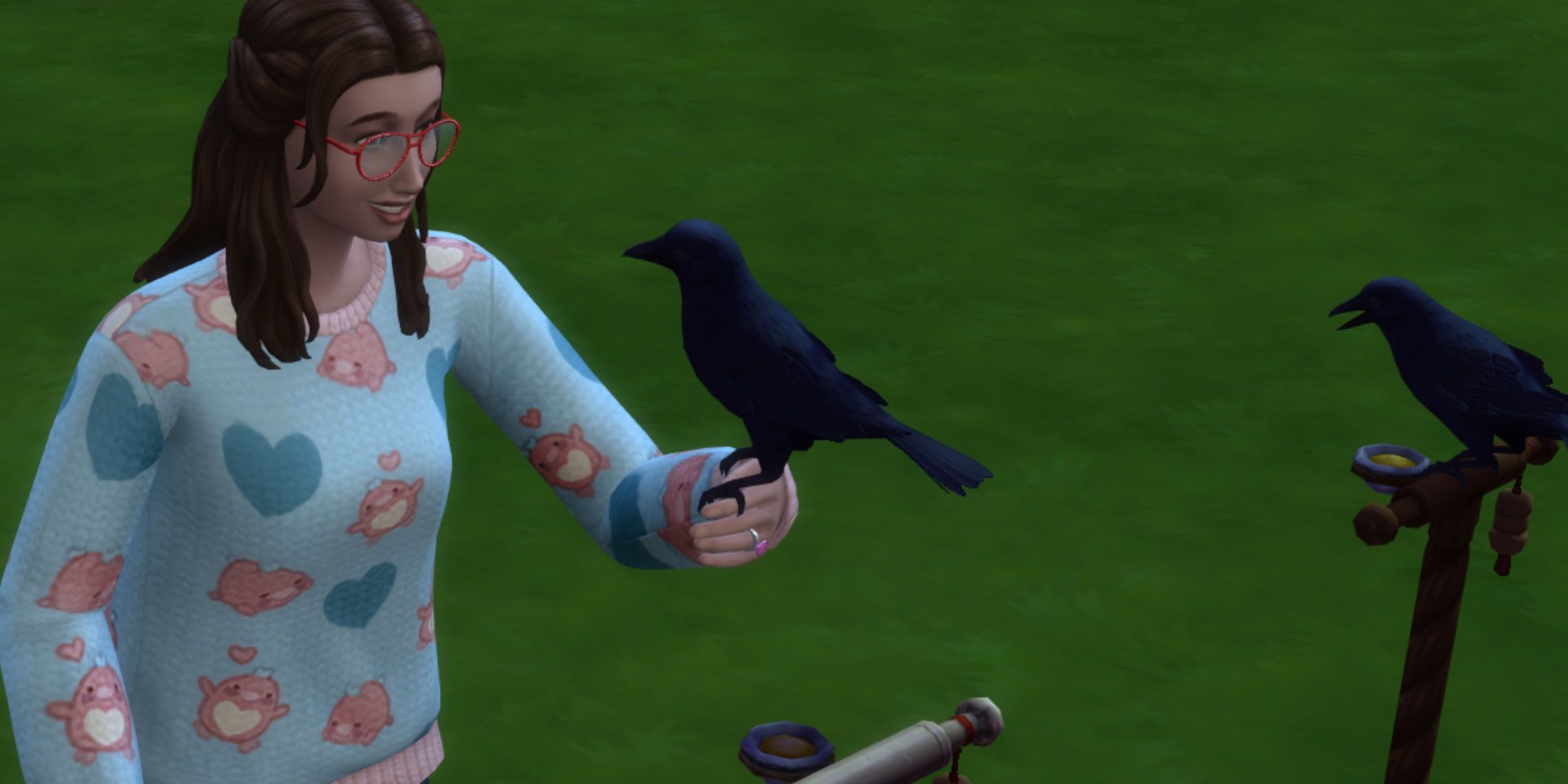 crows sims 4