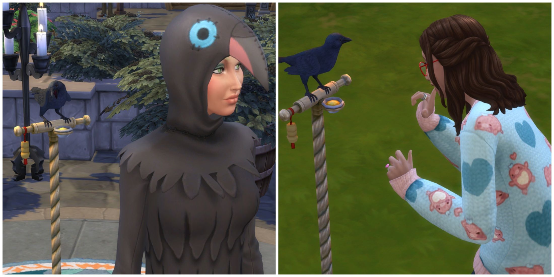 pet crow sims 4