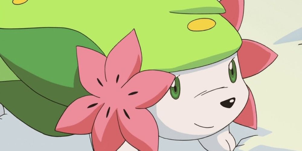 Shaymin from Pokemon anime Cropped