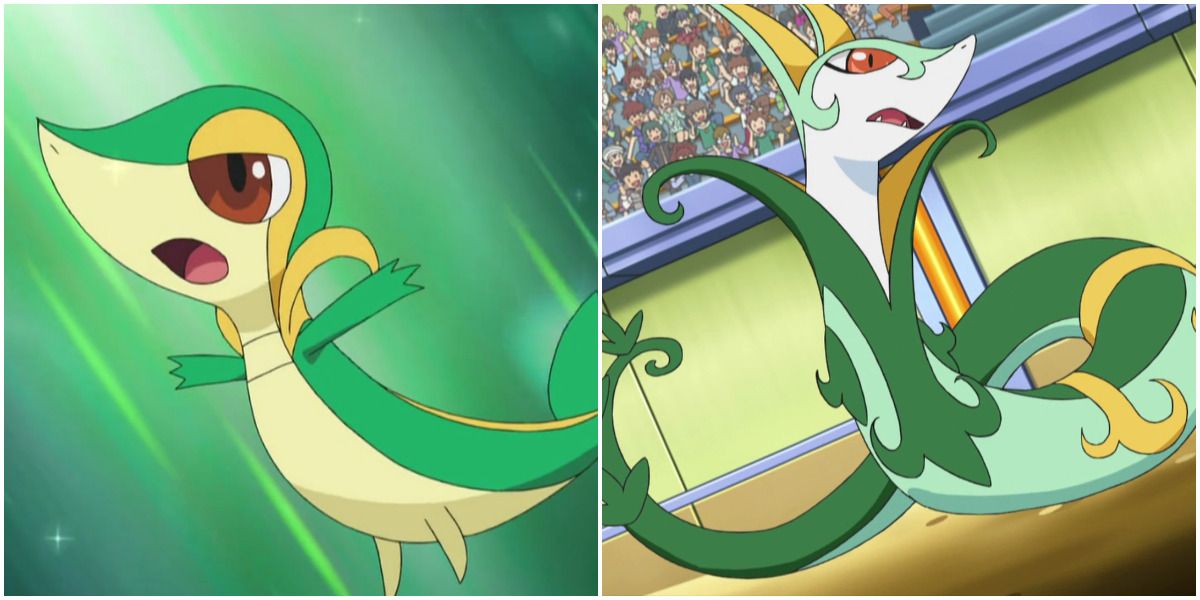 Snivy and Serperior Neutral Evil