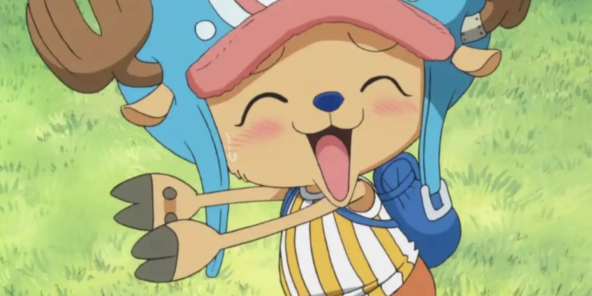 Tony Tony Chopper smiling in One Piece