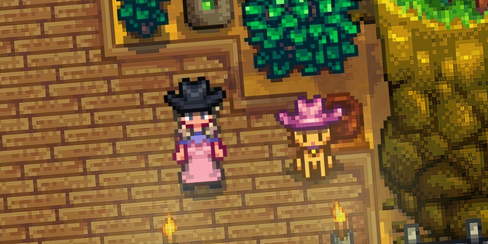 Stardew Valley Update 1.6 Performance Issues Are Caused By Pets Wearing Hats