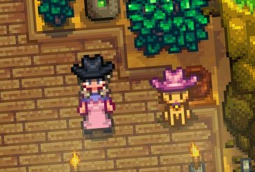 Stardew Valley Update 1.6 Performance Issues Are Caused By Pets Wearing Hats