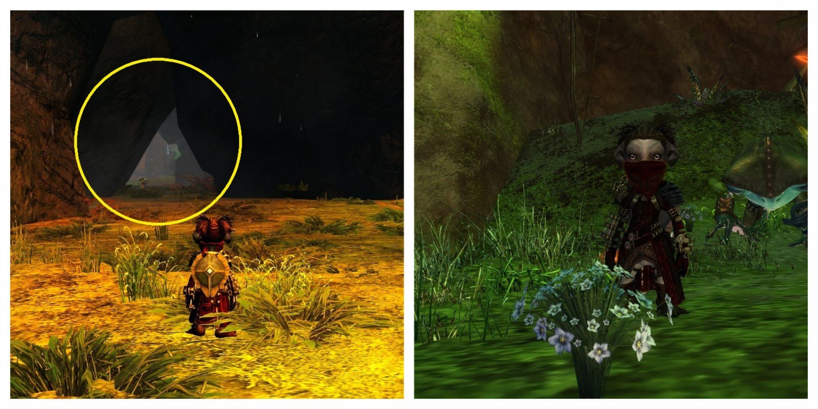 Guild Wars 2: Best Flax Farming Locations