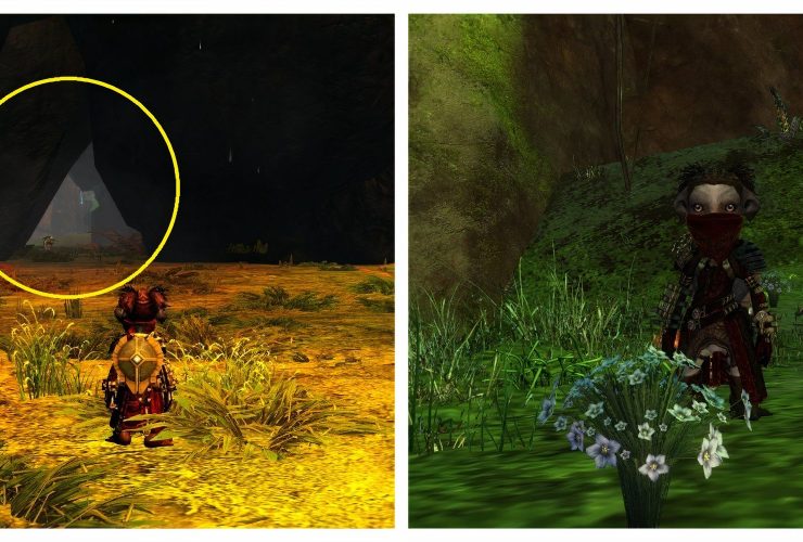 Guild Wars 2: Best Flax Farming Locations