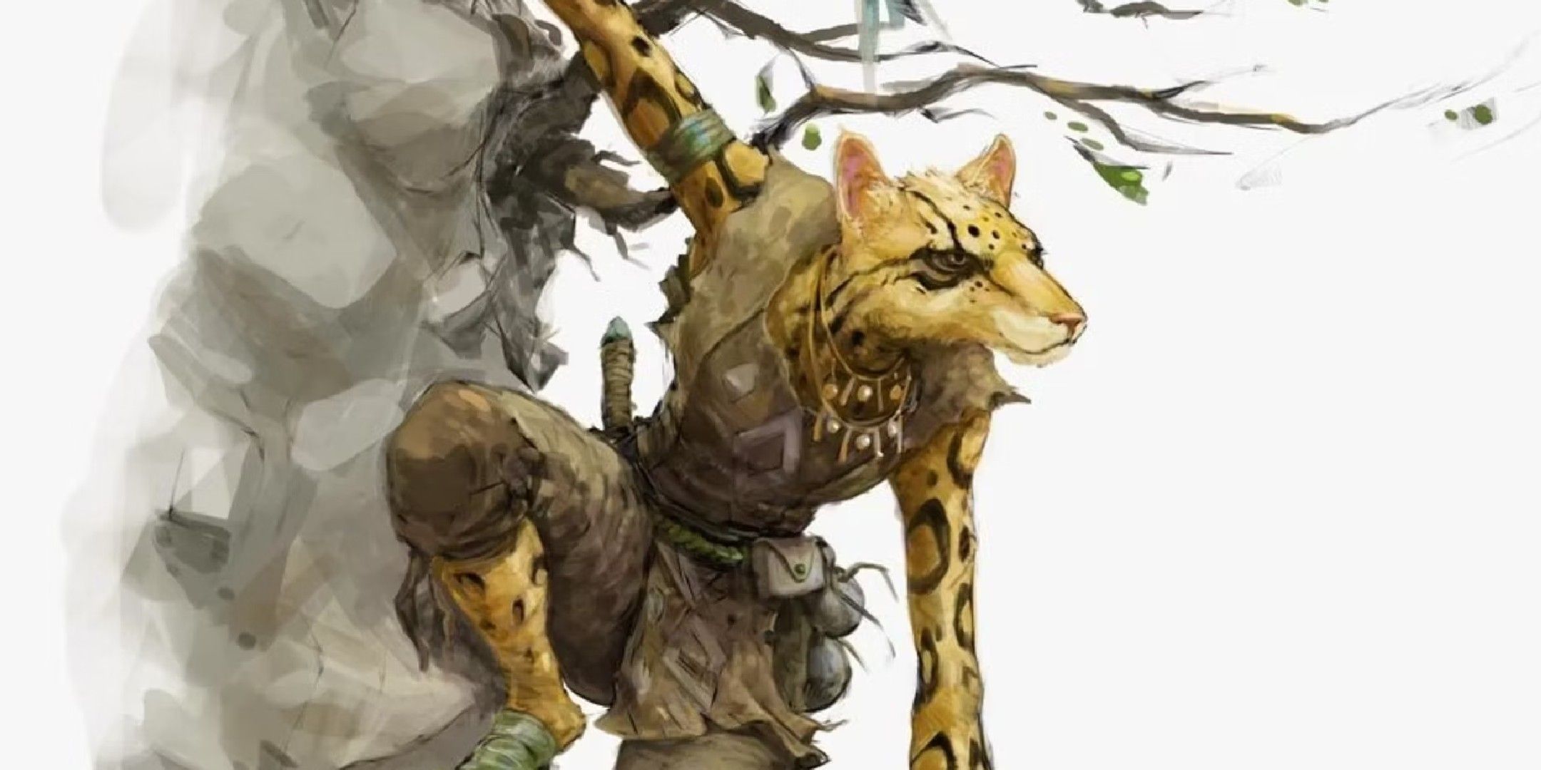 Dungeons & Dragons tabaxi hanging from a wall.