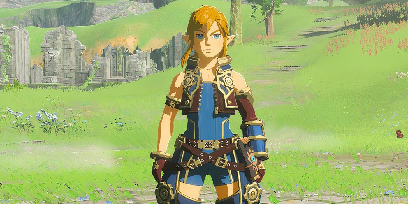 LInk in The Legend of Zelda" Breath of the Wild