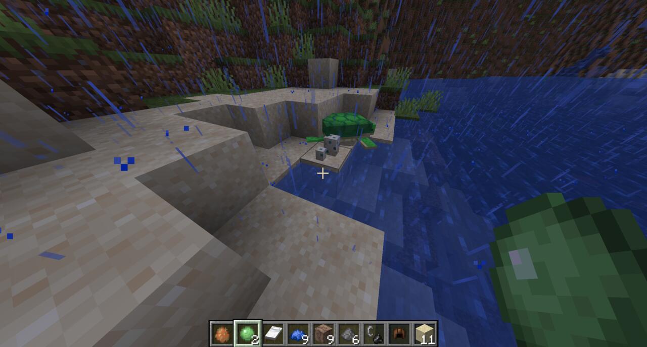 A turtle with its eggs in Minecraft