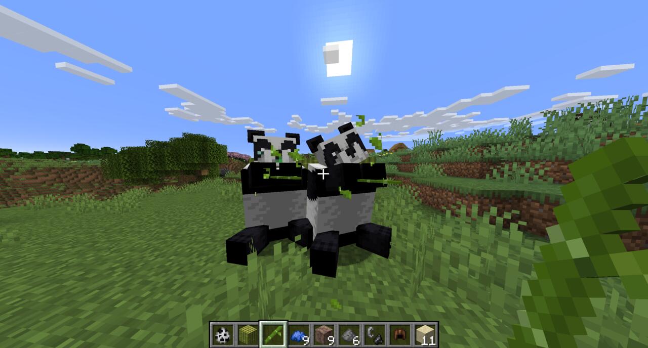 Pandas enjoying bamboo in Minecraft