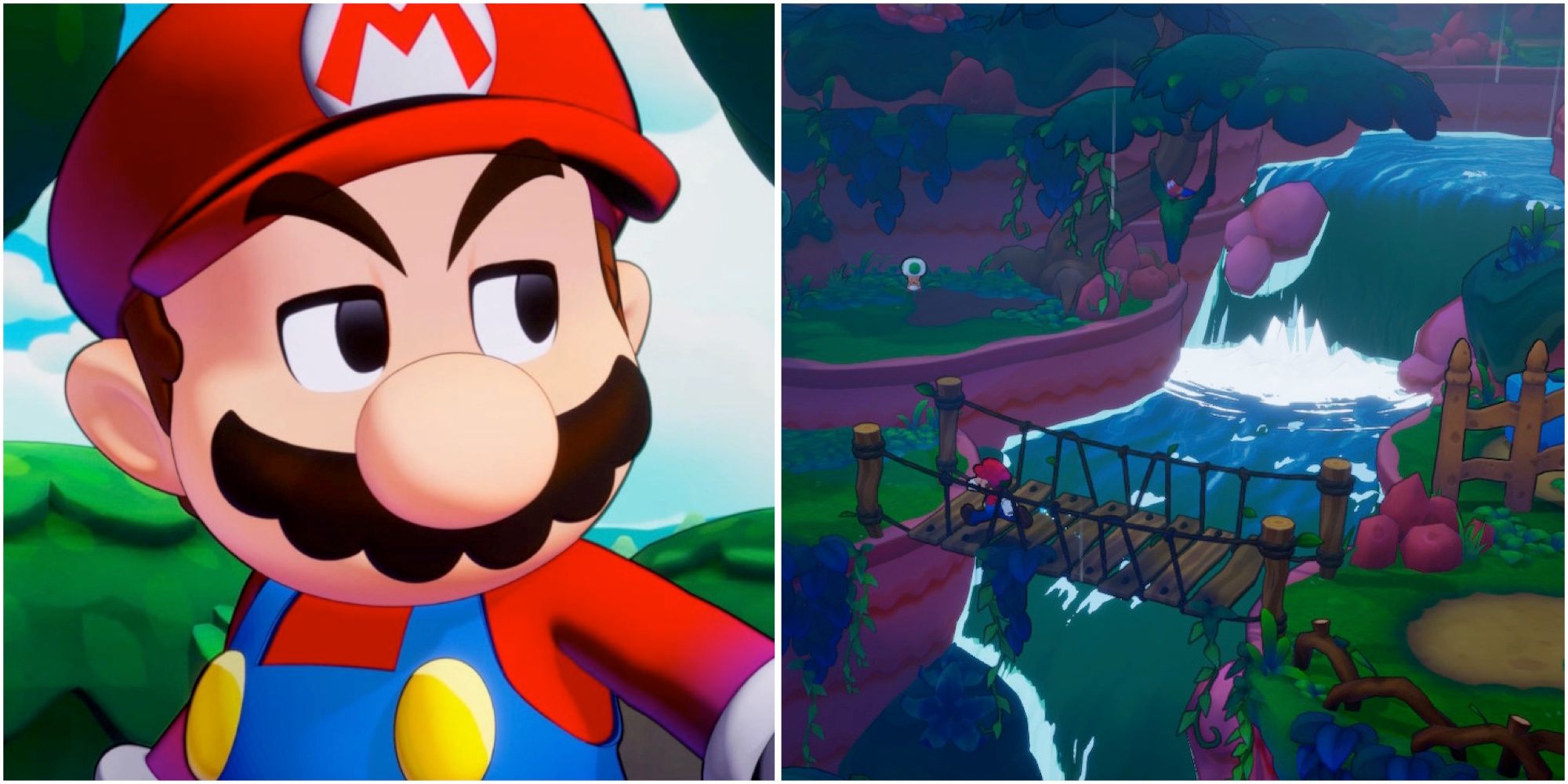 Mario and Exploring Raynforst Island in Mario & Luigi Brothership